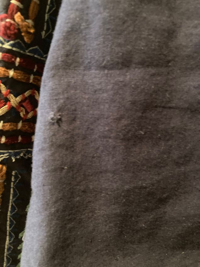 Chaqueta niña talla 5 zara