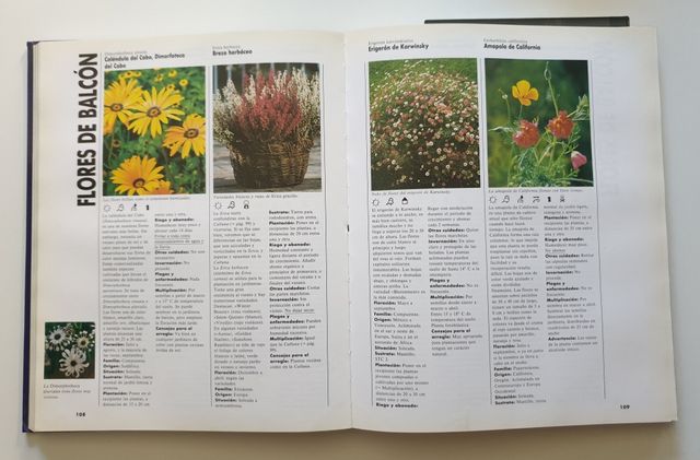 El gran libro de las plantas de terraza y balcón 