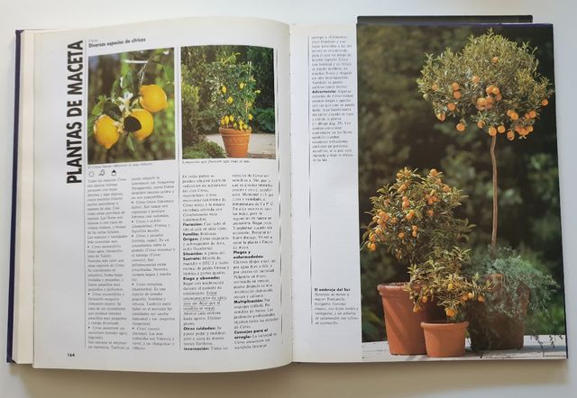 El gran libro de las plantas de terraza y balcón 