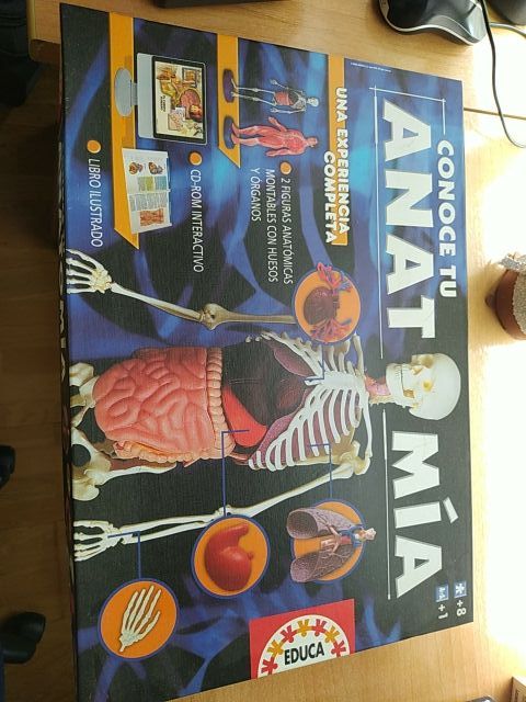 Conoce tu anatomia