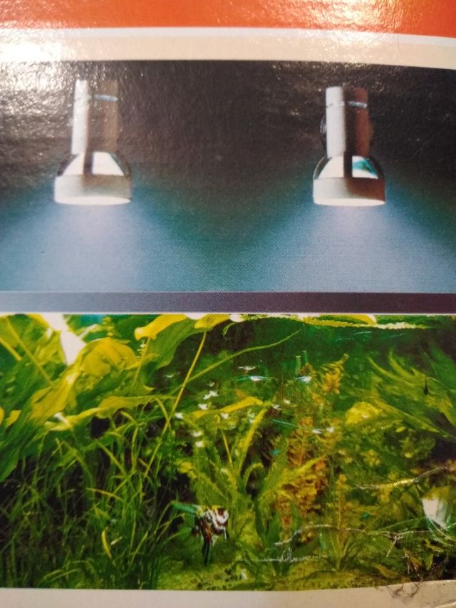 foco expeciales para plantas y acuarios
