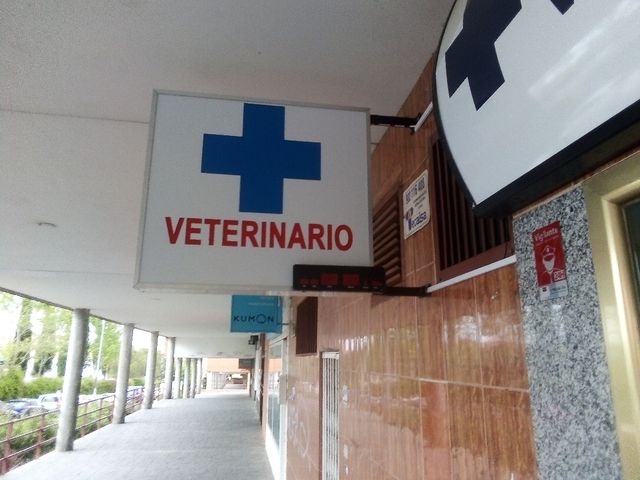 Cartello luminoso veterinario Con termometro