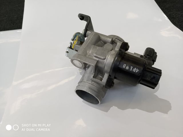 Cuerpo de mariposa yamaha