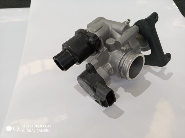 Cuerpo de mariposa yamaha