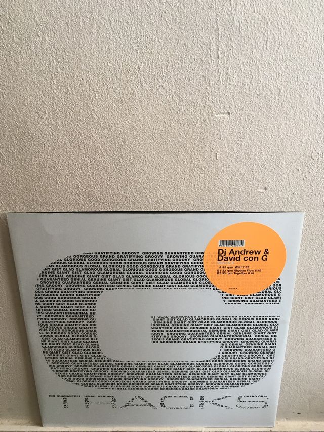 Vinilo Dj Andrew & David con G