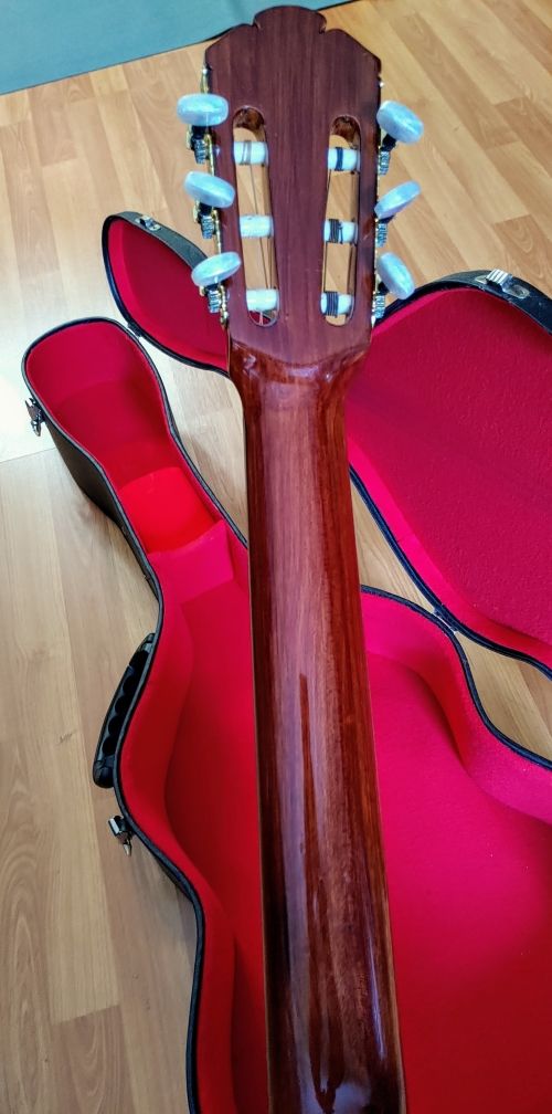 Guitarra Luthier Alegre