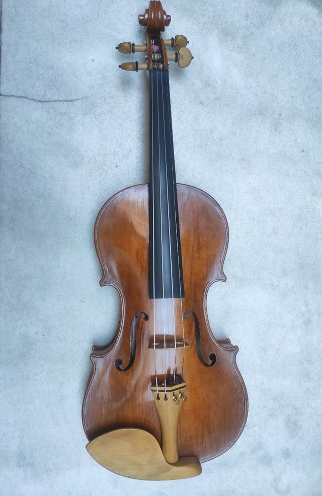 violín profesional