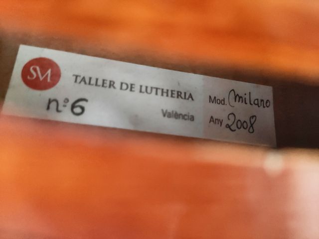violín profesional