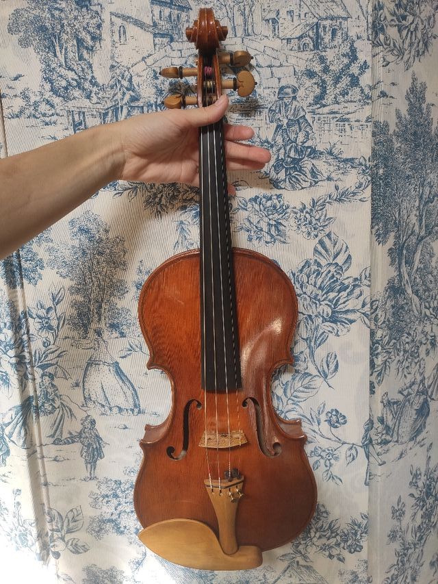 violín profesional