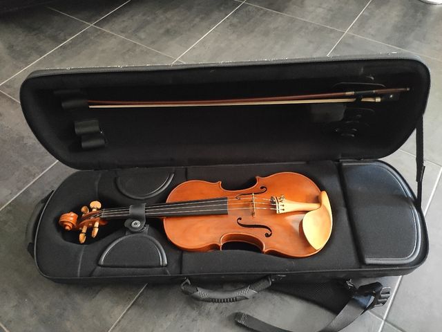 violín profesional