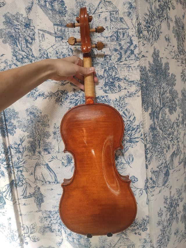 violín profesional