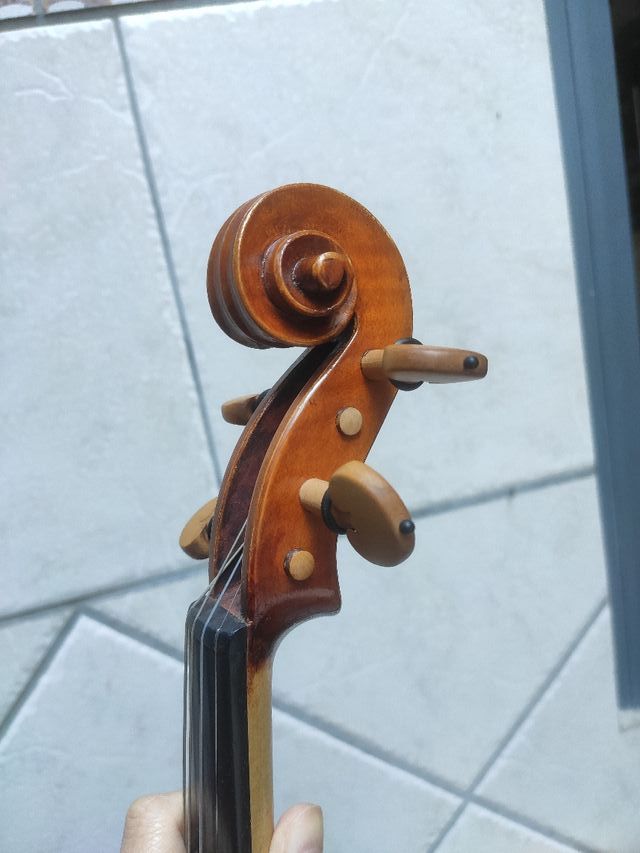 violín profesional