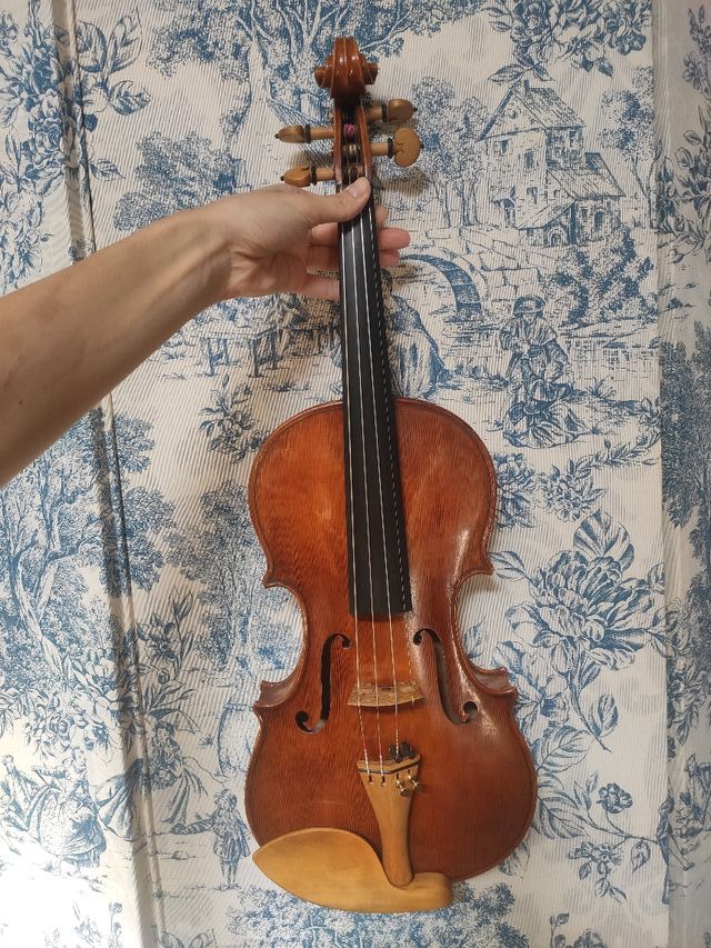 violín profesional