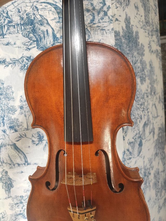 violín profesional