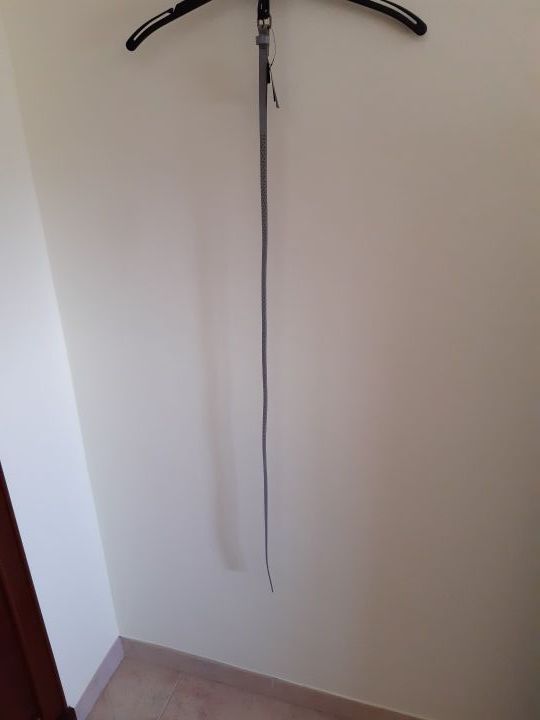 Cinturones nuevos 1€