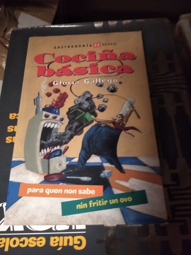 cociña básica para quen non sabe nin fritir un ovo
