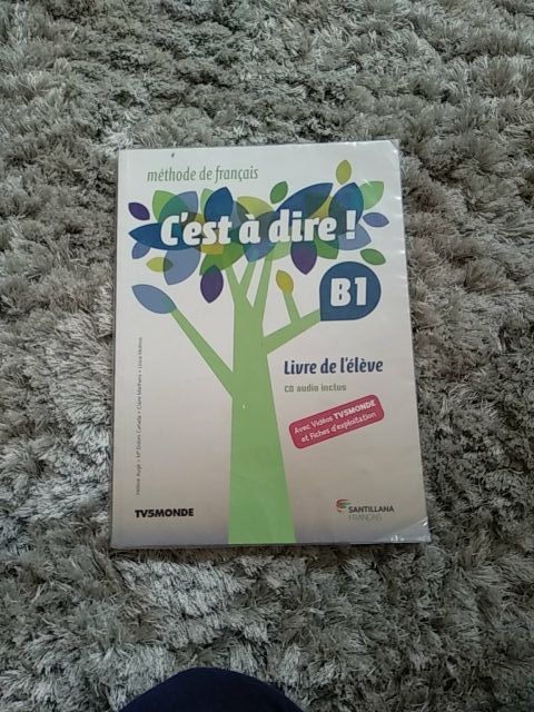 Libro francés "C'est à dire!" B1 con