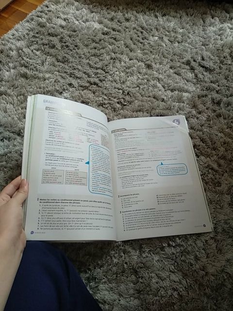 Libro francés "C'est à dire!" B1 con