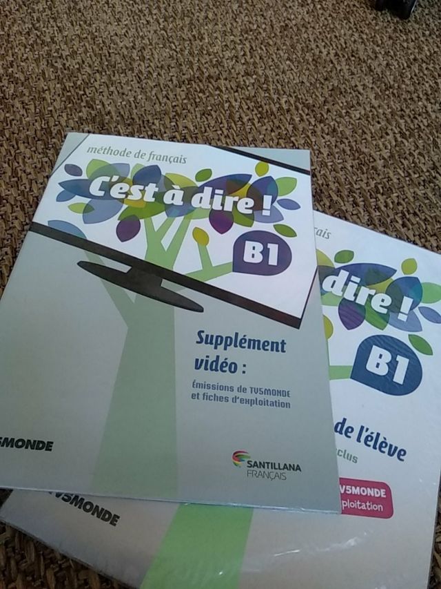 Libro francés "C'est à dire!" B1 con