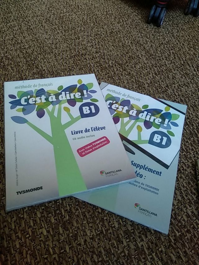 Libro francés "C'est à dire!" B1 con