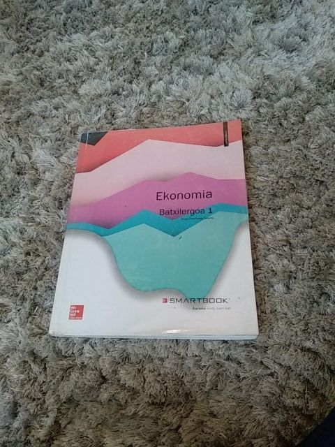 Libro Ekonomia 1. batxilergoa (Mc Graw Hill)