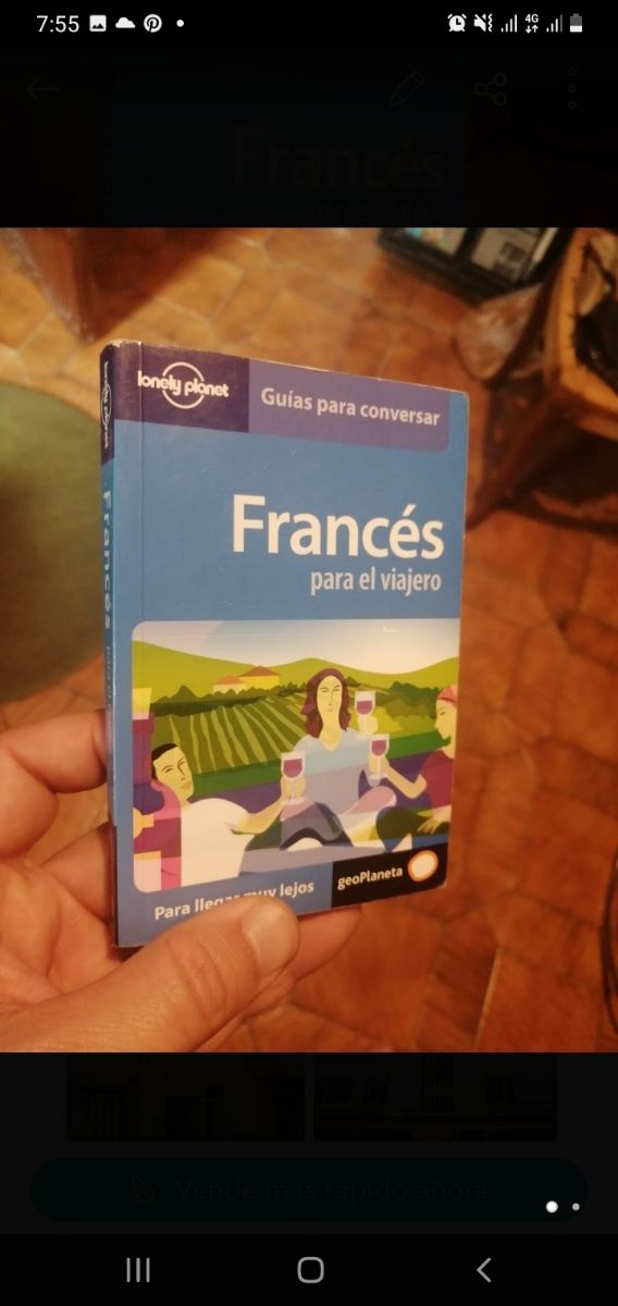 ingles y Francés para el viajero