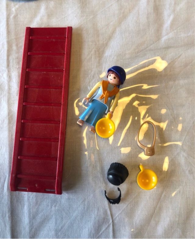 Playmobil arca de animales, wild life (5276)