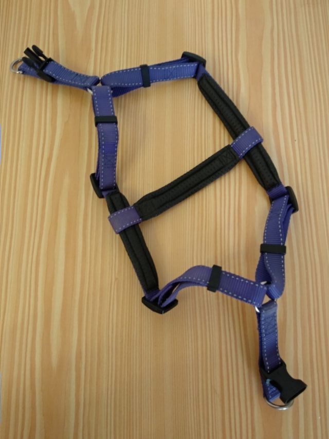 Arnés perro