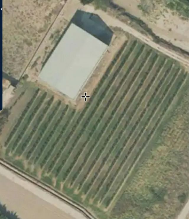 SE VENDE NAVE Y PLANTACION DE OLIVOS