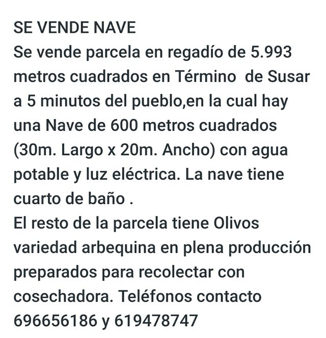 SE VENDE NAVE Y PLANTACION DE OLIVOS