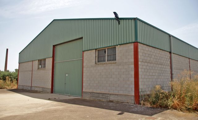 SE VENDE NAVE Y PLANTACION DE OLIVOS