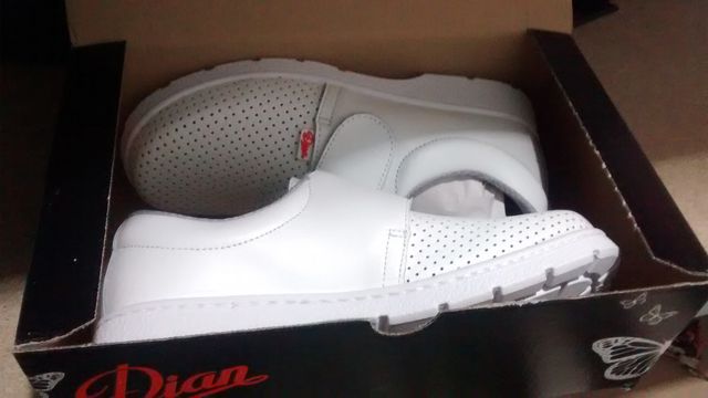 ZUECOS SANITARIOS t 42