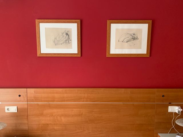 Cuadros (el precio es de los dos)