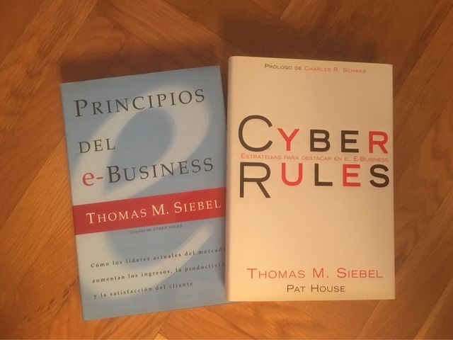 Principios del E-Busibess y Ciberrules