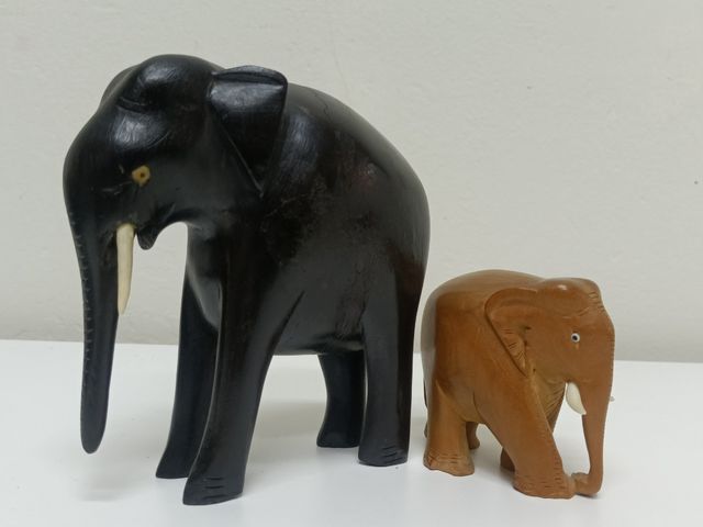 Pez Elefantes Hipopótamo madera UD.