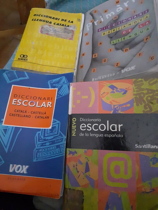 Lote Diccionarios