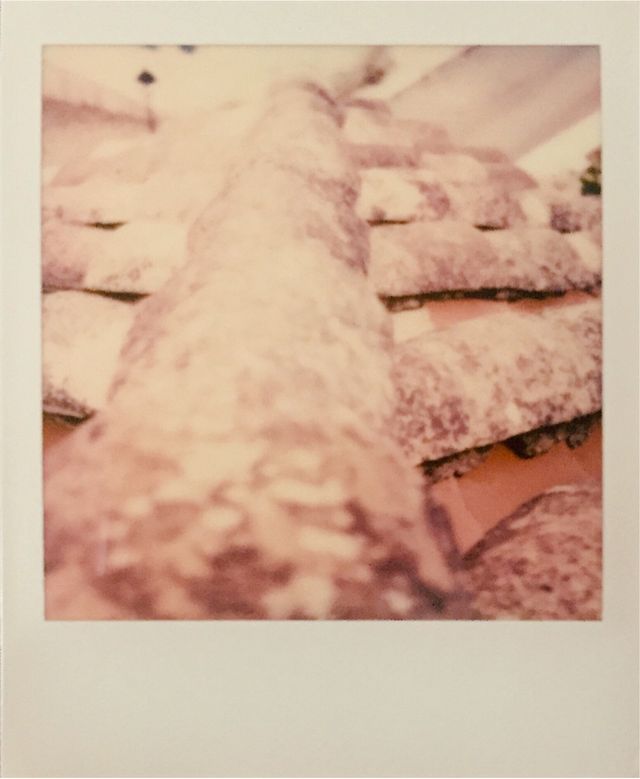Cámara Polaroid 3000 con funda!!