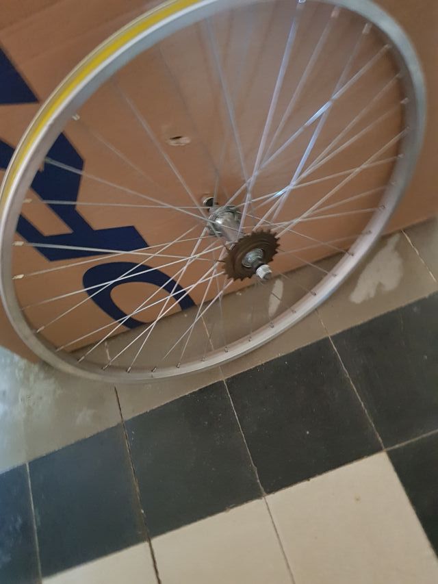 RUEDA  Y  PIÑON  1 VELOCIDAD