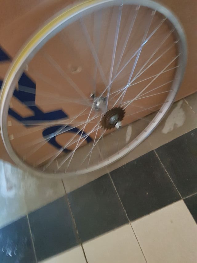 RUEDA  Y  PIÑON  1 VELOCIDAD