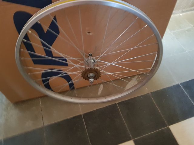 RUEDA  Y  PIÑON  1 VELOCIDAD