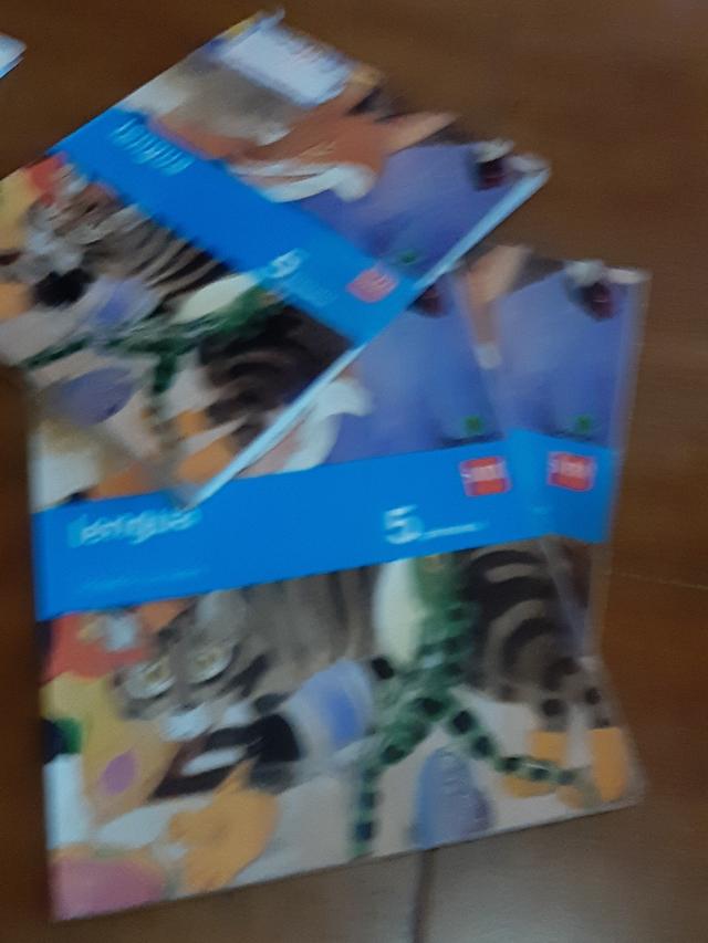 lengua 5 de primaria