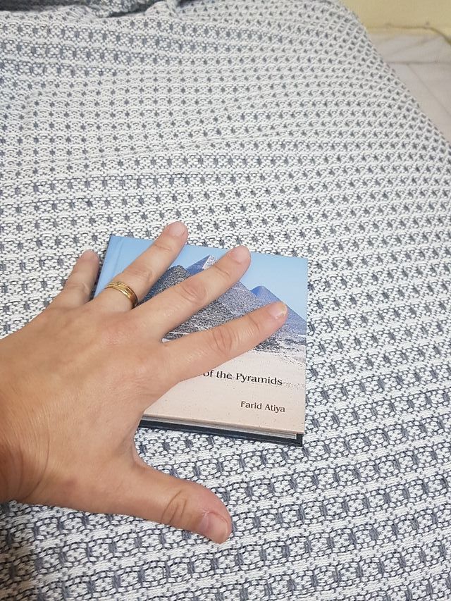 The Pocket Book of the pyramids