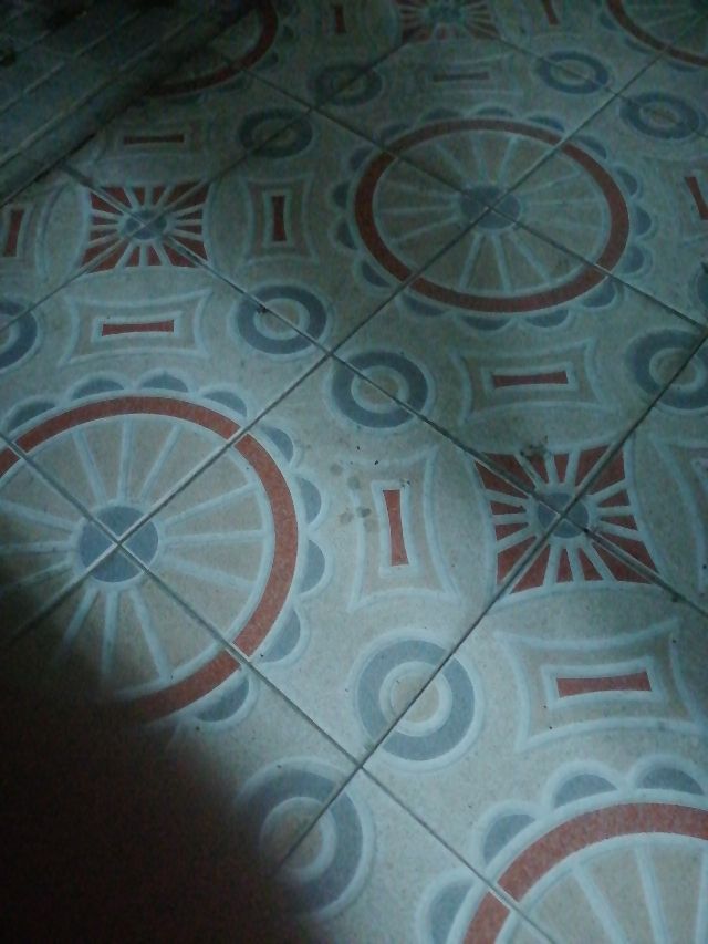 anillo bmw , precio por unidad .