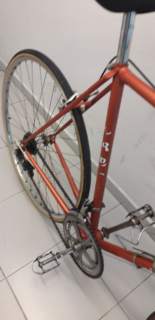 ORBEA MONCAYO HIBRIDA