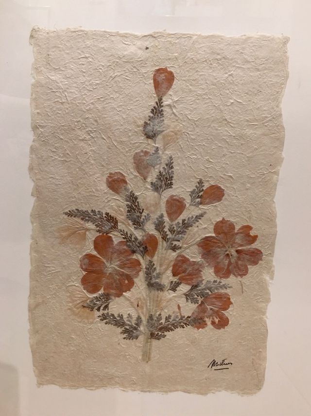 Cuadro Papiro floral