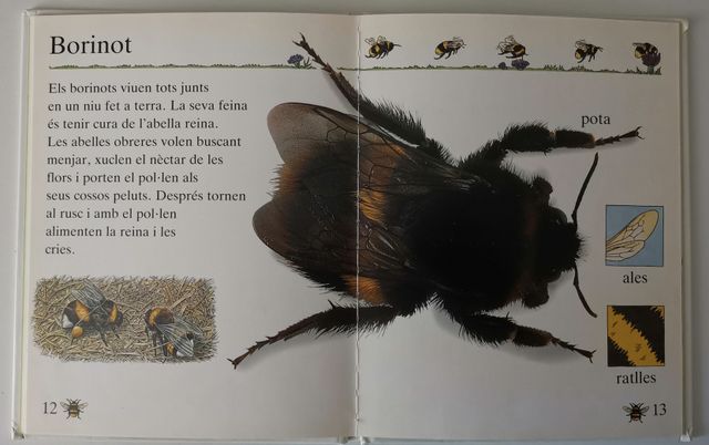 2 libri per bambini SCIENZA