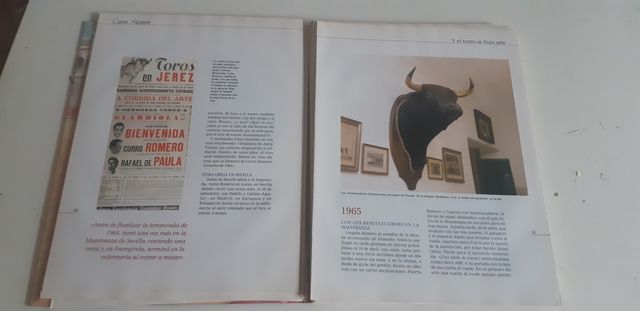 Y EL TOREO SE HIZO ARTE