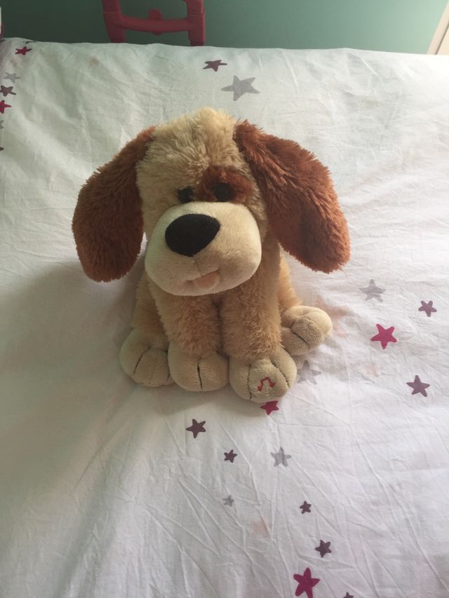 Perro musical y bailarin