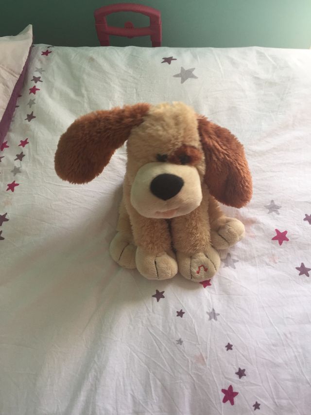 Perro musical y bailarin