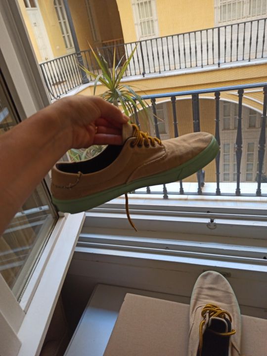 Zapatillas Flamingo y regalo funda Iphone